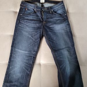 Hudson Brand Cropped Pants.